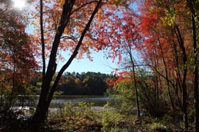 chester-chester-sp-fall-trees-lake-03